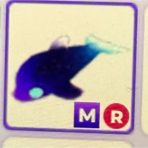 mega Glormy dolphin