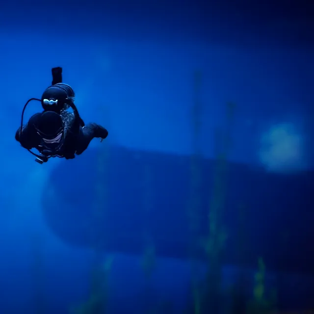 รายการภาพถ่าย