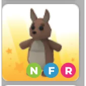 NFR KANGAROO