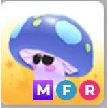 MFR MUSHROOM FRIEND