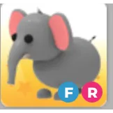 FR ELEPHANT 