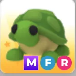 MFR TURTLE