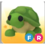 FR TURTLE