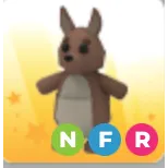 NFR KANGAROO