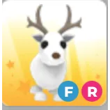 FR ARCTIC REINDEER 