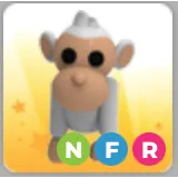 NFR ALBINO MONKEY 