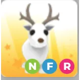 NFR ARCTIC REINDEER