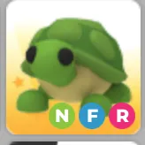 NFR TURTLE