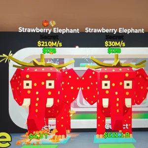 Elephant Bundle