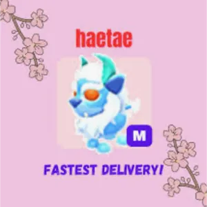 MEGA NP HAETAE LOW PRICE