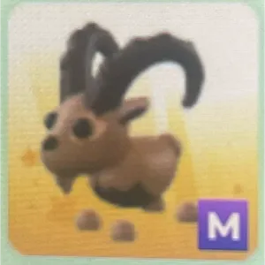 NP MEGA IBEX