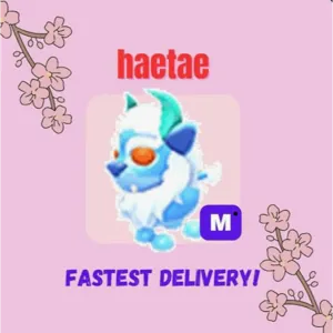 HAETAE MEGA NP COLLECTOR