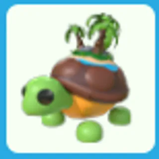 Tortuga de la Isla