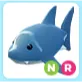 NR Shark