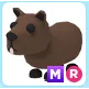 MR Capybara