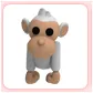 Pet | Albino Monkey