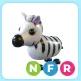 NFR Zebra