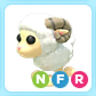 NFR Ram