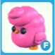 F Candyfloss Chick
