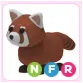 Pet | NFR Red Panda