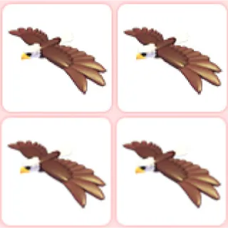 4x Bald Eagle