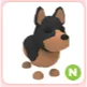 n australian kelpie