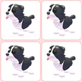 4x Border Collie