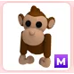 M Monkey
