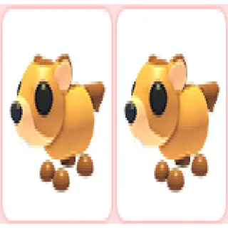 2x Groundhog