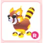 R Toasty Red Panda