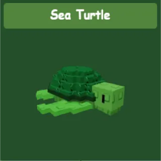 Sea Turtle