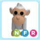 NFR Albino Monkey