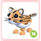 N Ocelot