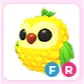 FR Pineapple Owl