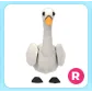 R Swan