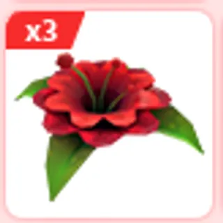 3x Forgotten Flower