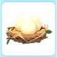 nest of eggs