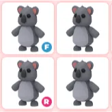 4x Koala