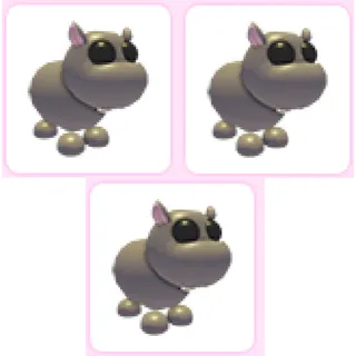 3x Hippo