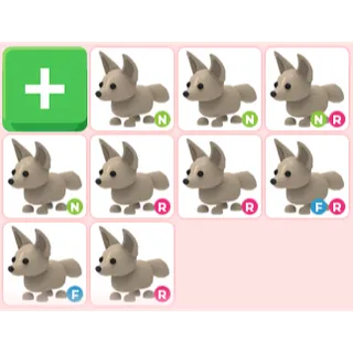 Bundled Fennec Fox