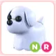NR Ghost Dog