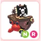 NR Pirate Hermit Crab