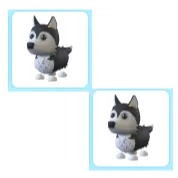 2x Husky
