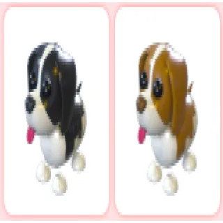 Black And Brown Springer Spaniel