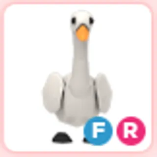 FR Swan
