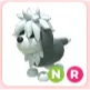 NR English Sheepdog