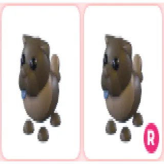 2x Chocolate Chow-Chow