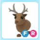FR Reindeer