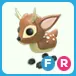 FR Fallow Deer