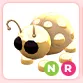 NR Golden Ladybug